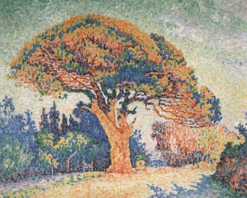 Paul Signac Pine Tree at Saint-Tropez